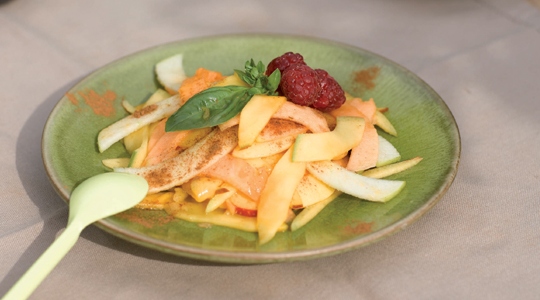 Waaier van meloen met frambozensaus