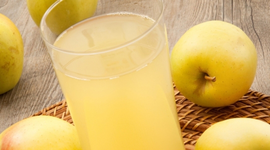 appelsap juice expert magimix