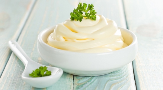 recette magimix mayonnaise