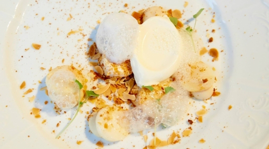 Celeri rave, chocolat blanc, lait fermenté