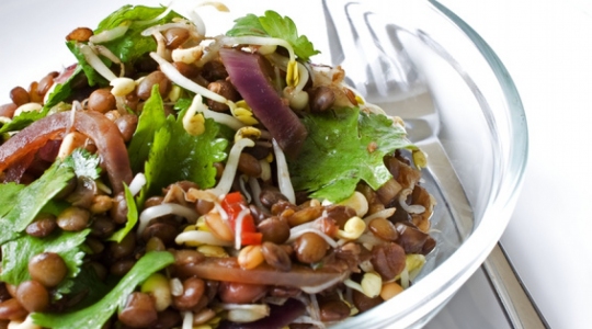 Salade, lentilles, Gièsle Louis, Atelier bio