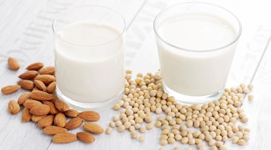 Lait de soja Juice Expert Magimix