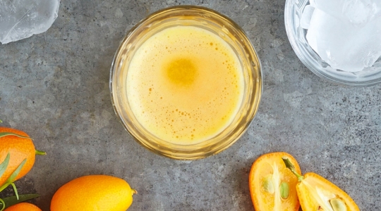 Recette Jus Kumquat Estragon_Juice Expert_Magimix
