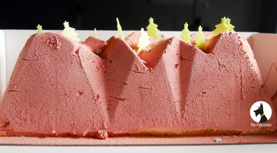 Bûche, Mangue, Passion, Tia